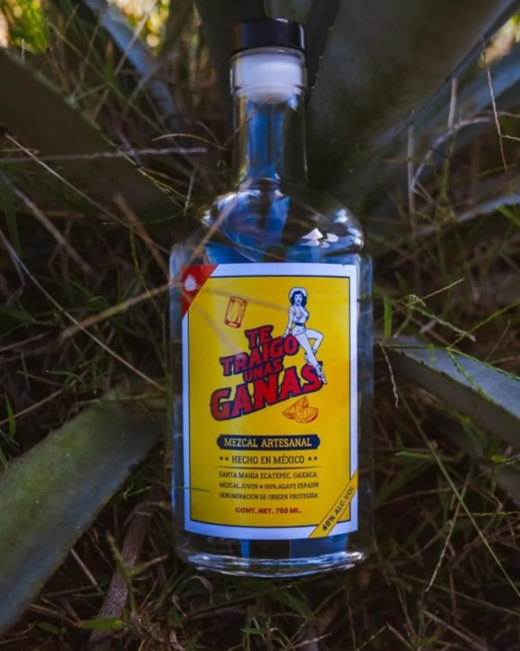 Botella de Te Traigo Unas Ganas entre agaves